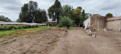 Imagen 2 de VENTA FINCA RIVADAVIA MENDOZA