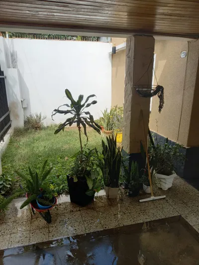 Imagen 2 de HERMOSA CSA PH 107 MTS2 EN LOMA HERMOSA BS AS