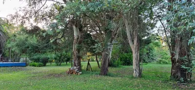 Imagen 1 de Dos Lotes en Venta | Abasto