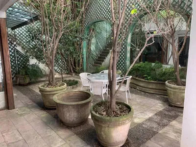 Imagen 2 de Unico Terreno en Palermo Zoo Para Hacer Edificio!