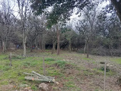 Imagen 1 de Terreno en 4 Horizontes