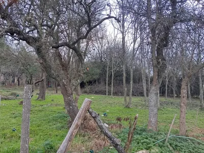 Imagen 2 de Terreno en 4 Horizontes