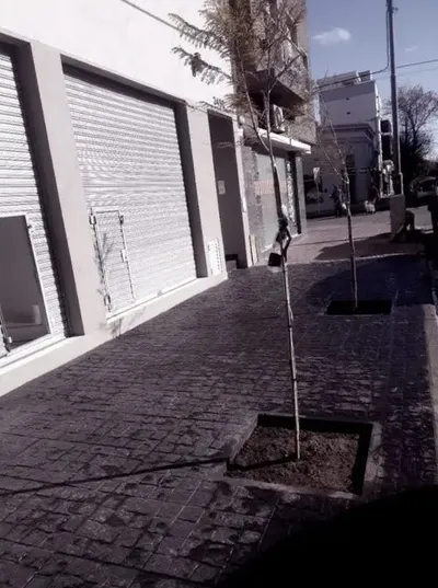 Imagen 2 de Venta De Local / Oficina Centro Mar Del Plata Magali Pascuzzi Venta Y Alquiler De Propiedades En Mar Del Plata
