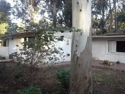 Imagen 2 de Casa Tipo Chalet Con Lote De 375  150 M2 Cubiertos  5 Ambientes  4 Habitaciones 3 Baños   Cochera Magali Pascuzzi Venta Y Alquiler De Propiedades En Mar Del Plata