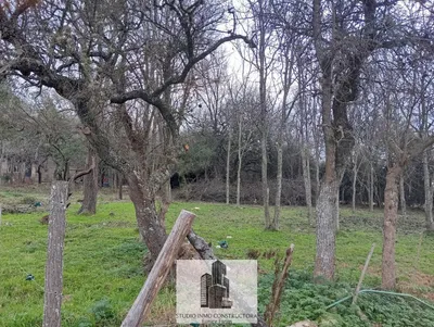 Imagen 2 de Terreno en 4 Horizontes - Villa General Belgrano