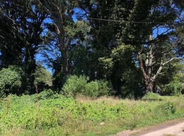 Imagen 2 de En Venta. Lote de 600 m&sup2; Zona Peñón de Santillán. Sierra de Los Padres.